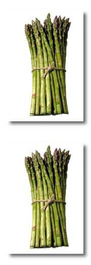 Asparagus Pee?