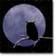 Night Owl