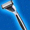 Schick Quattro.